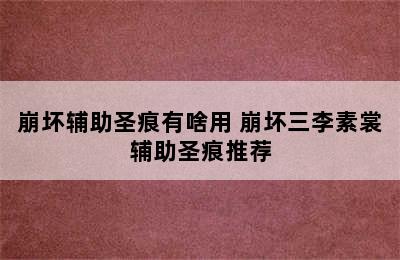 崩坏辅助圣痕有啥用 崩坏三李素裳辅助圣痕推荐